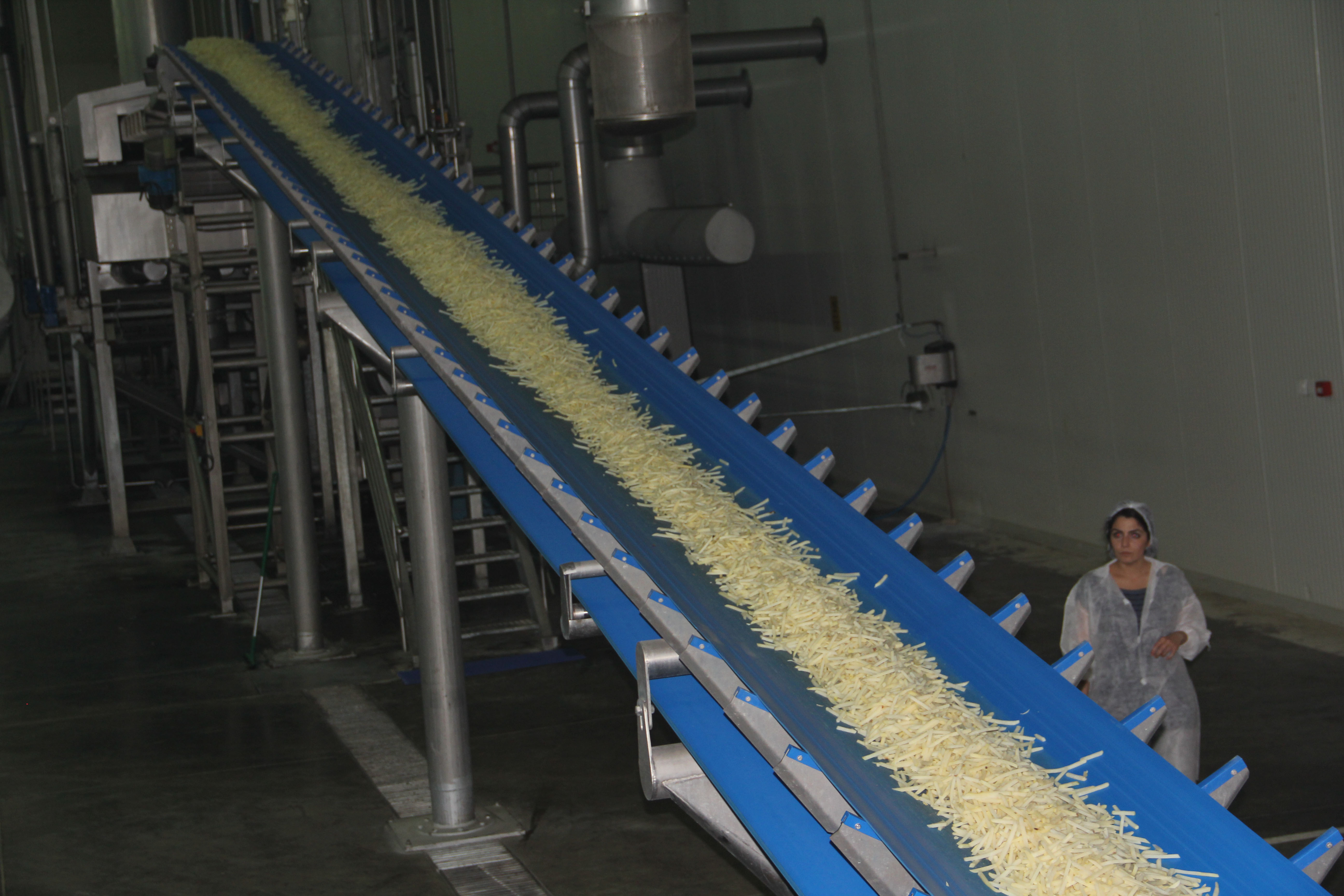 Recep Konuk Konya Şeker Patates Nişastası Üretimine Başladı
